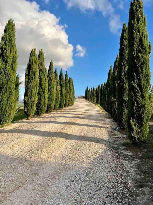 Toscana Amore Mio, Stunning View & 14Min Volterra Монтекатіні-Валь-ді-Чечина Екстер'єр фото